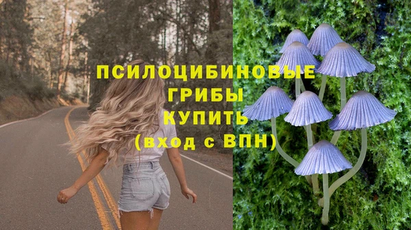 наркотики Тайга