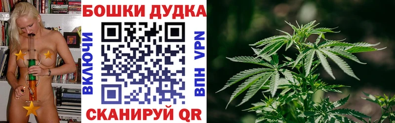 МЕГА ONION  дарнет шоп  Новомичуринск  Бошки Шишки марихуана 